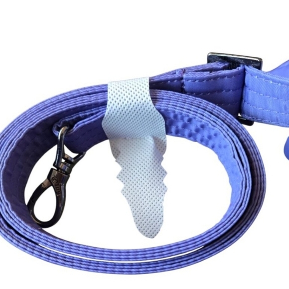 Disney Parks Sling Bag - Lug Tailback - Epcot Festival of the Arts 2025 Figment - Picture 8 of 10